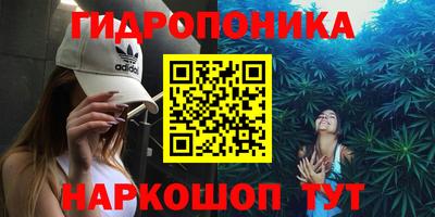 ешки Канаш