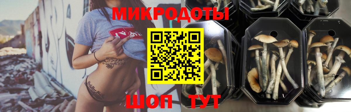 Псилоцибиновые грибы мицелий  Вход с VPN  как найти   Котельники 